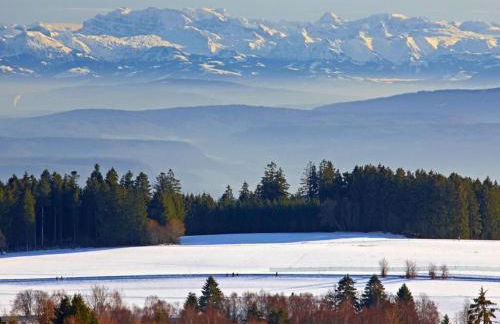 Holiday Apartment Garden Suite - Foto 33