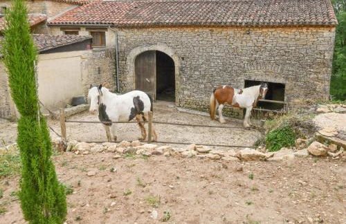 Le Mas dAmour - Foto 54