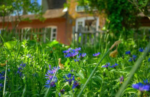 Tammwarftshof - Foto 39