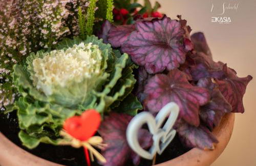 Al Soladif - Mansarda con vista - Foto 40