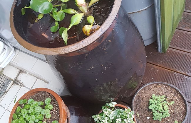 Tongyeong Iris Pension - Foto 52