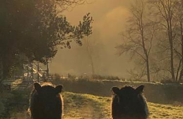 Dartmoor Eco-Pod - Oak Tree Lane - Foto 46
