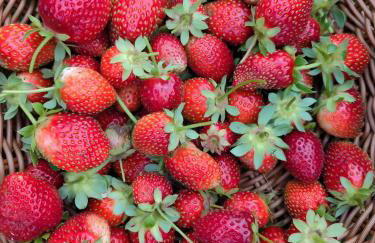 Ferme Pédagogique Bordeneuve - Foto 24