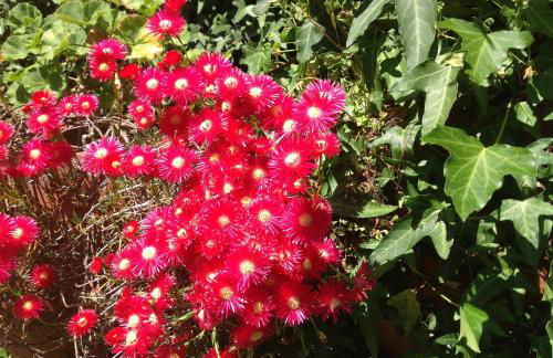 Casa de Romao - Foto 78