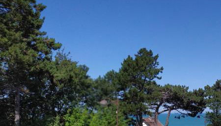 L'idylle - maison a la mer - Foto 1