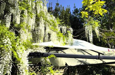 Historic Charm Garden Flat Adjoining Central Park - Foto 17