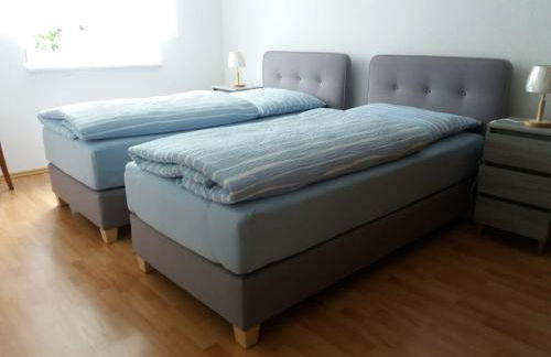 Sonnenschein - Foto 8