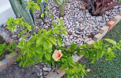 Casa na Praia de Águas Belas - Caponga - Foto 48