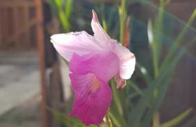 La Luciole Ecolodge - Foto 35