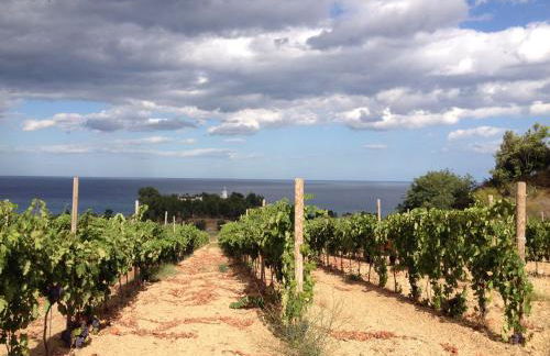 Agriturismo biologico 'A Lanterna - Foto 68