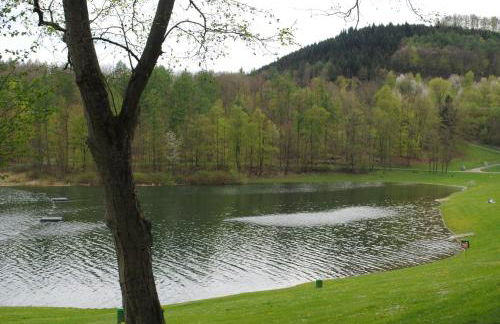 Vakantiehuis Ramsbeck - Foto 36