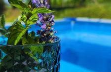 Tweet Apartments with Sauna and optional Breakfast Close To Terme Sveti Martin - Foto 35