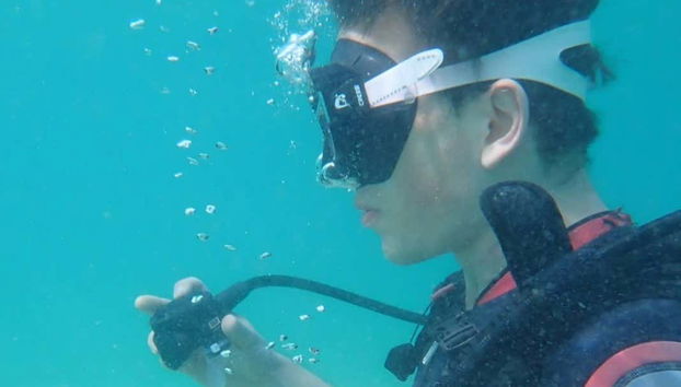 Donna che si immerge nell'isola di Sal