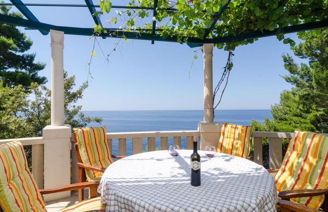 Plavac Mali - Photo 6