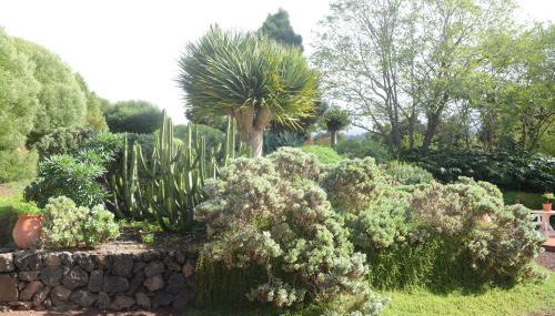 Casa Rural El Adelantado - Foto 4, Garden