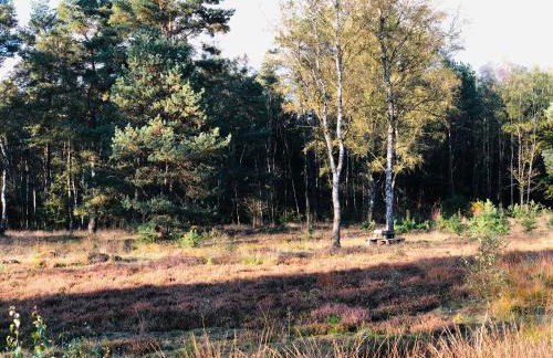 Landhaus mitten in der Lüneburger Heide - Foto 38