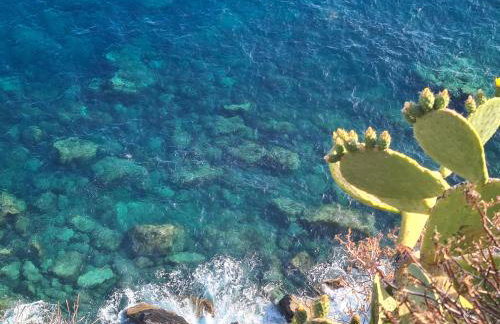 "The Ulivi" inside Le Agavi Private Park, shared Pool and Tennis 200m far, Sea View Apartment 2 AC BDR, 2BTH, parking next home and private garage in Lerici! Cooking Lesson and Wine Tasting - Foto 61