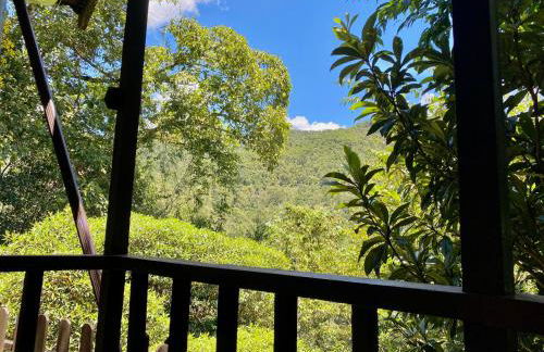 Chalé 2 Alto na Montanha, com garagem coberta - Foto 25