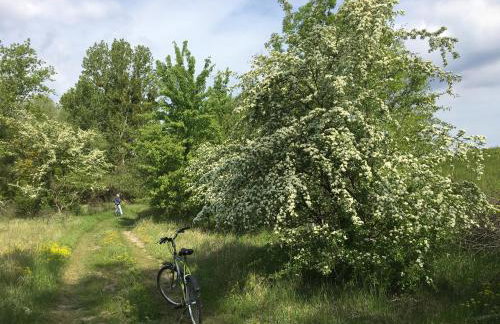Agroturystyka Kobylnica nad Wisłą - Foto 64