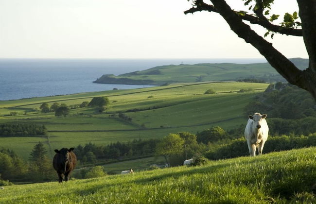 Cutlar's Lodge - Foto 49