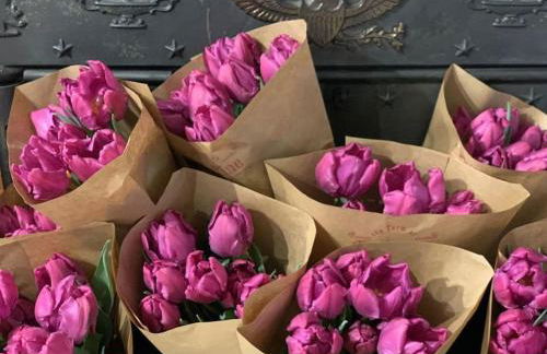 Luxury Farm Stay-Bonds Corner Bungalow-Wolf Pine Hollow - Foto 51