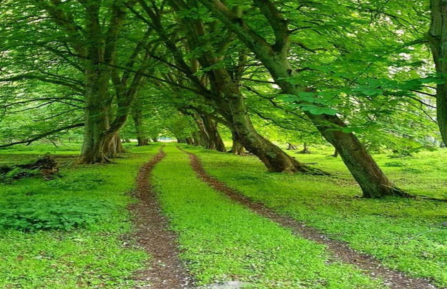 Ferienhaus in Neu Poserin for 5 Personen - Foto 30