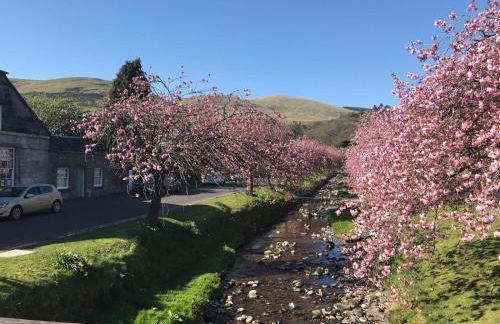 Stylish 3 Bedroom with Balcony and Amazing View - Photo 29