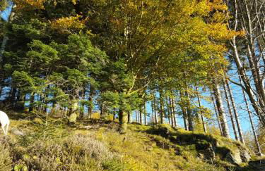 freundliche Unterkunft Sauerland - Foto 31