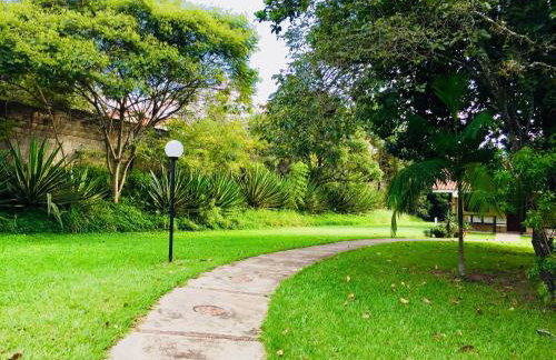 Florescer Vila - Foto 27