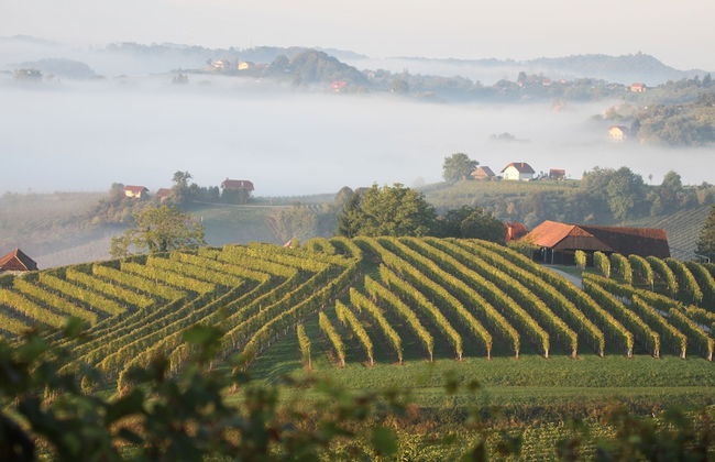 Pool Villa Silva Marija - App 102 - Foto 16