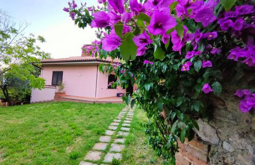 Bella Vista - Belvedere - Foto 1