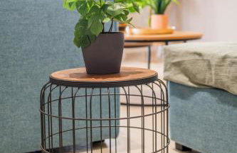 THEA Seaview Luxury Living - Foto 20