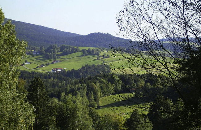 Log House in Rinchnach With Panoramic Views - Photo 24
