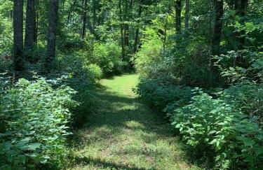 Fern Hill Cabin - Foto 41