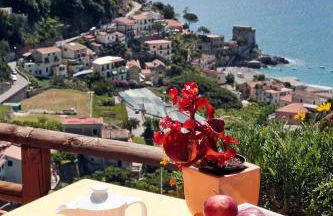 Limoneto Di Ercole - Foto 6