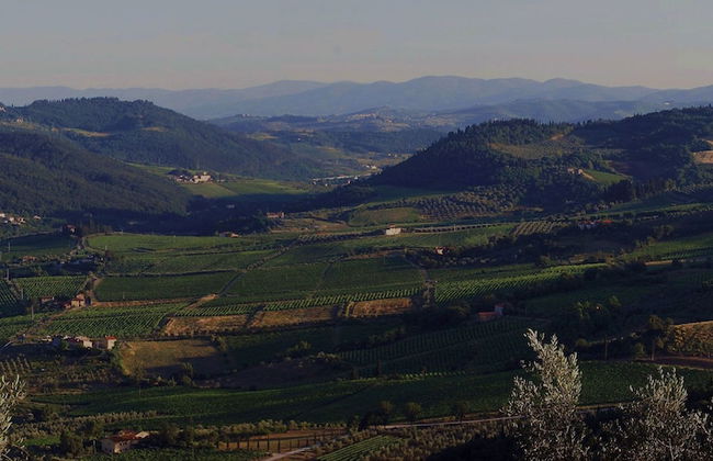 Podere il Poggiolo - Photo 5