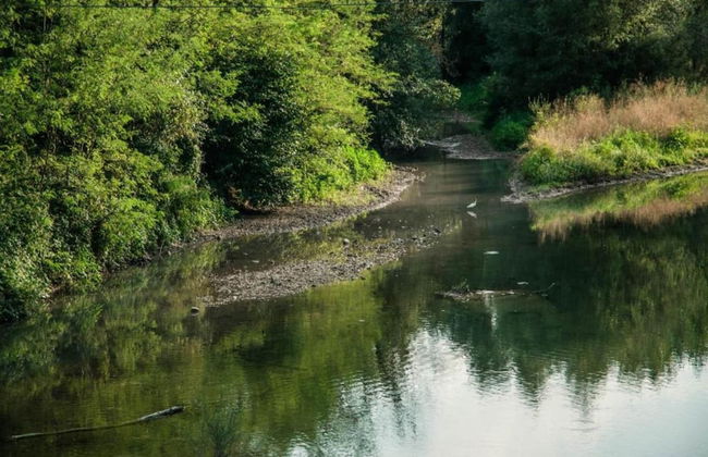 Belvilla by OYO Raggio Un Posto al Sole - Foto 31