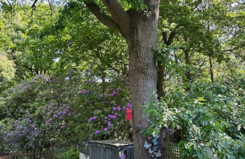 Shangri la at Beauport - Foto 16