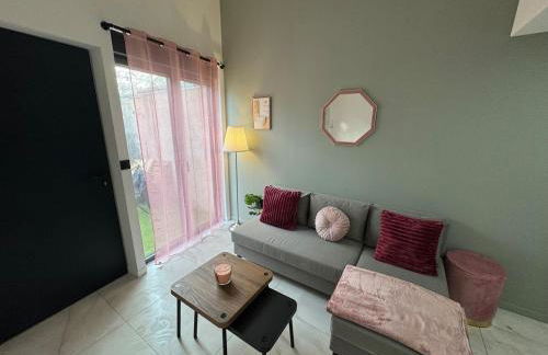 Petit Boudoir Lyonnais neuf terrasse climatisé - Foto 27