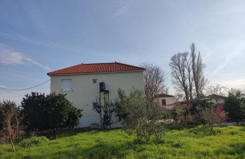 DIMITRIS EYRIAKIS COTTAGE - Photo 46