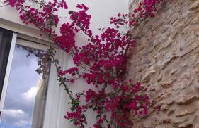 Casa Rural Sierra Guadalcanal - Foto 10