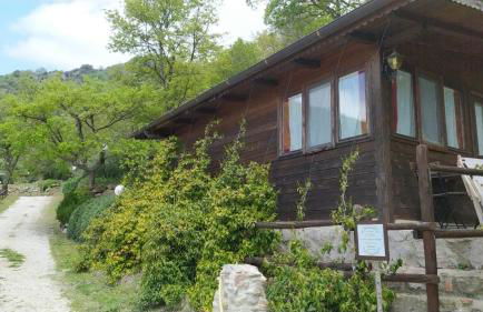 Azienda Agricola Biologica La Cardellina - Foto 3