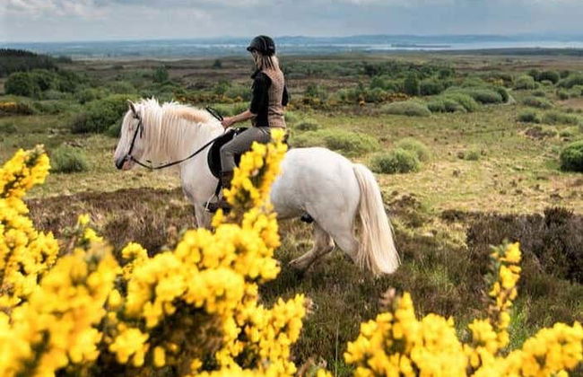 Balade à cheval à Lisdoonvarna - Photo 1