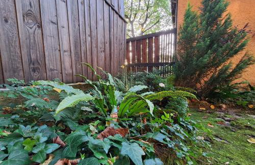 Apartman Soda - Foto 58