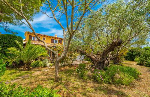 Can Pascolet - Foto 64