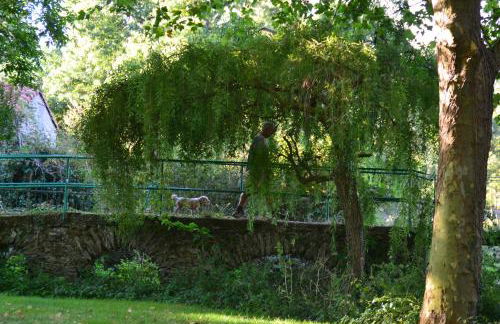 Le Moulin Neuf - Photo 34