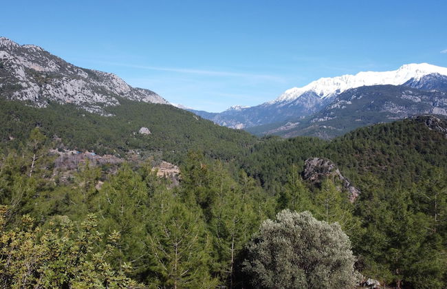 Antalya Bodrum Kayası Dağ Oteli - Foto 38