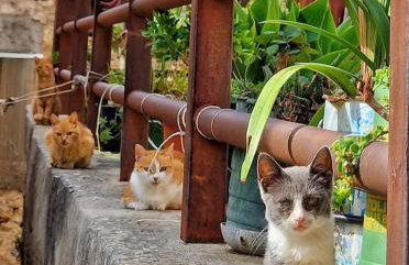 CASA DIDYMA - Foto 30