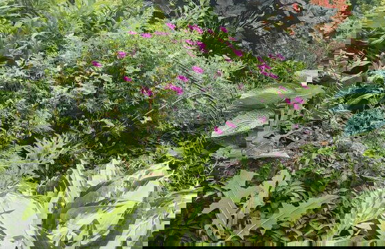 Luxurious Villa With Pool Near Energylandiai - Foto 36