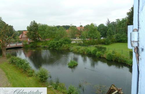 Mühlenteich in der Oldenstädter Wassermühle - Foto 15